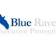 Blue Raven Inc: Executive Protection & Security Services